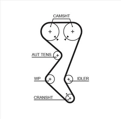 Fogasszíj GATES 5528XS for PEUGEOT, CITROËN, FIAT, LANCIA, …