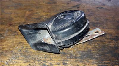 Renault Scenic II Duda / Kürt