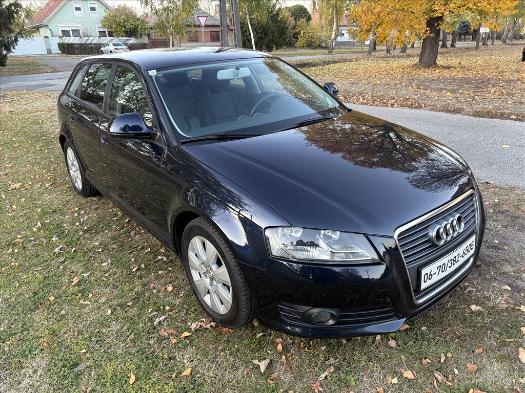 AUDI A3 1.9 TDI Ambiente FACELIFT/DIGIT KLÍMA/4EL.ABLAK/EL.TÜKRÖK/FRISS MŰSZAKI 4. kép