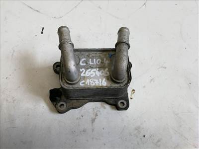 Renault Clio  motorolajhûtő 213052032R