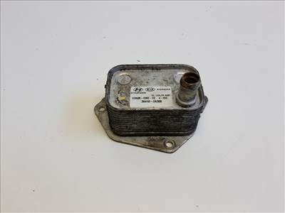 Kia Rio (UB) motorolajhûtő 264102A300