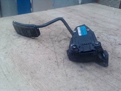 RENAULT VEL SATIS 02-09 Elektromos gázpedál