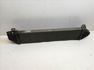 Ford Focus  intercoolerhûtő 8V619L440AC