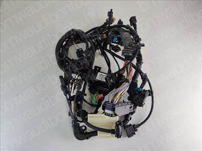 BMW 3 (F30, F80)  320 d Motor kábelköteg (8595284, 12518516259)