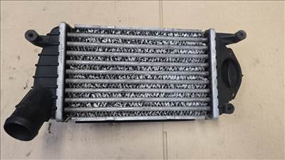 Volkswagen Lupo 3L TDI intercooler 6e0145805b