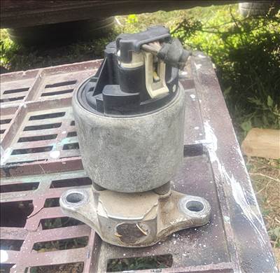 Chevrolet Epica, Daewoo Evanda Egr Szelep 