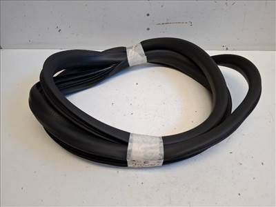 Renault Zoe jobb hátsó ajtó kédergumi