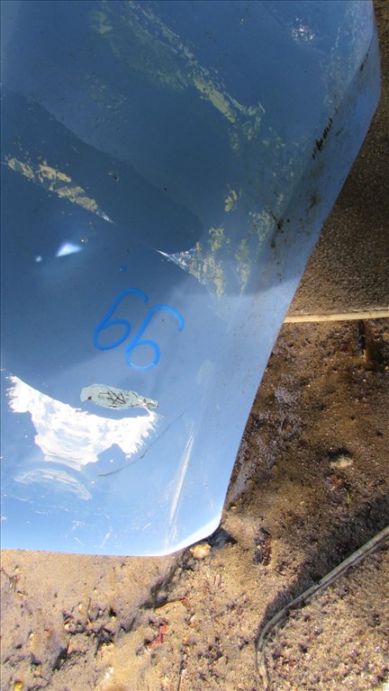 Fiat Bravo Első lökhárító (99) 2. kép