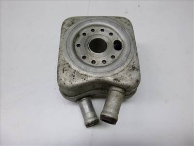 Volkswagen Passat VII (3C) motorolajhûtő 028117021L