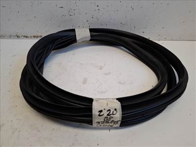 Hyundai I 20 (BC3/BI3) bal első ajtó kédergumi