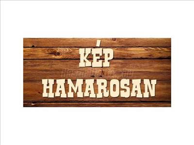 Peugeot 207 csomagtér ajtó központi zár,centrálzár