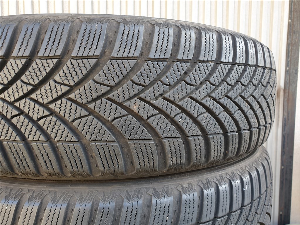  195/55 20 Semperit Speed-Grip 5 4. kép