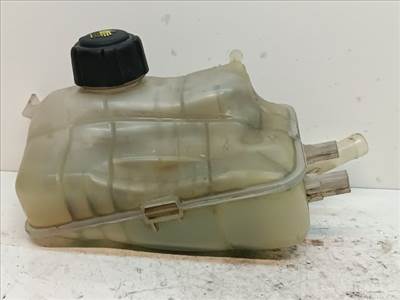 RENAULT MEGANE III Kiegyenlítő Tartály