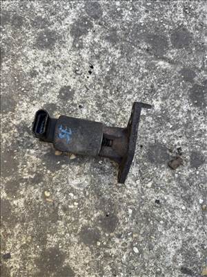 Opel Signum, Opel Vectra C EGR 