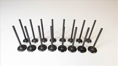 HK11304SET) ÚJ 8 KIPUFOGÓ + 8 SZÍVÓ SZELEP SZETT, 16 DARAB - Kia Carens 06-12, Ceed 06-, Cerato 06-, Optima 18-, Rio 11-, Soul 08-, Sportage 10-, Venga 09-19 / Hyundai Accent 11-, Elantra 11-, i10 10-12, i20 08-15, i30 07-14, i40 11-19, ix20 11-, ix35 10-, Kona 17-, Sonata 14-, Tucson 15-, Veloster 11- - 1.4, 1.6 benzin - 222122B000, 222112B400 - Made in Korea