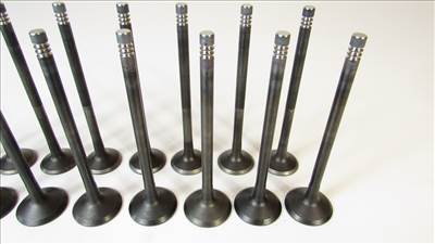 HK11653SET) ÚJ SZELEP SZETT (8db szívó és 8db kipufogó) - Hyundai Grand Santa fe 13-18, ix35 10-15, Santa fe 10-20, Tucson 15- / Kia Carnival 06-12, Sorento 12-20, Sportage 10-, Stinger 17-20 - 2.0, 2.2 dízel - Made in Korea