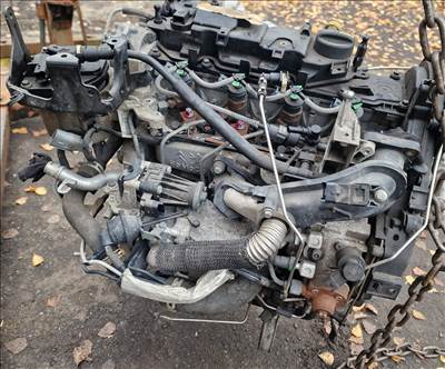 NGDA Ford 1.6TDCi Motor eladó