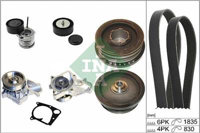 Vízszivattyú + bordásszíjkészlet Schaeffler INA 529 0020 30 for BMW, MINI