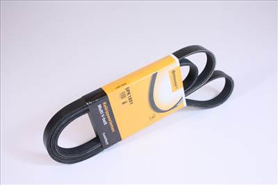 HK11970) ÚJ ÉKSZÍJ, HOSSZBORDÁSSZÍJ 5PK- CONTINENTAL - Hyundai Accent 06-11, Elantra 06-11, Getz 02-10, i30 07-09, Kia Ceed 06-10, Cerato 04-06, Rio 05-11, - 252122A121, 252122A120 - Continental