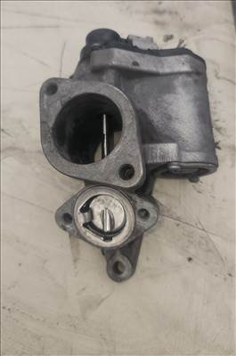 Renault Laguna II, Renault Mégane II, Renault Scénic II Pillangoszelep fojtoszelep elektromos 