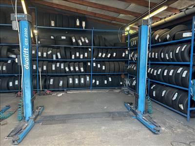 Hofmann GTE-2500 kétoszlopos menetes orsós csápos emelő eladó