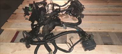 Ford Fiesta Mk5 1.4 TDCi 1.4 TDCI motor kábelköteg komplett