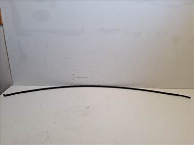 Citroen C1 bal tetődíszléc 755520H020