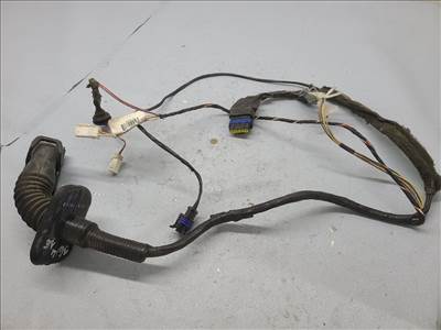 RENAULT SCÉNIC II (JM0/1_) 1.9 dCi (JM14) Jobb első Ajtó Kábelköteg #43301# 8200466103