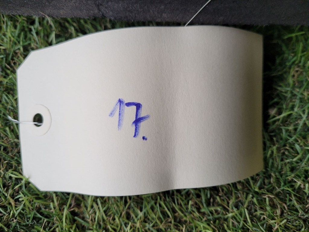 CITROËN C4 PICASSO Motorháztető Szigetelés 9677894680 9. kép