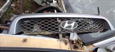 Hyundai Santa Fé (SM) Hűtő rács