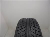 Nankang All Season Plus 195/55 R15 