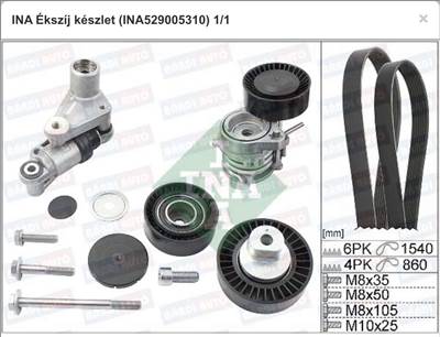 BMW 520 E39 Hosszbordás szíj szett ina529005310