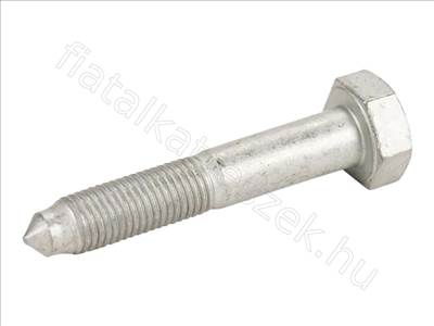 Lengőkar csavar M10X60 - FIORINO, CORSA, BRAVO, DELTA, SWIFT, PUNTO - 52242963, 7707587 -  - FIAT eredeti Eredeti új 52242963