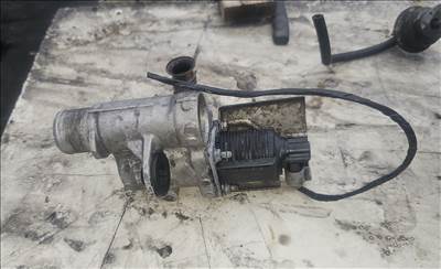 Renault Kangoo I,  Mégane II,  Scénic II,  Thalia I, Clio II Egr Szelep 60kw 