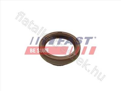 Tömítés FIAT DUCATO 06> Főtengely 2.0 JTD 31x41x7 - MAREA, CROMA, 9-3X, GTV, DEDRA, 4C - FT49859, 7628850 -  - Fastoriginal Utángyártott új 7628850