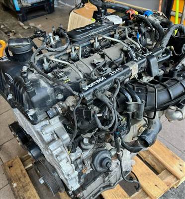 Kia Sportage (SL) 2.0 CRDI 180 L.E. 2011 Évjárat