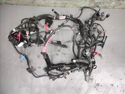 Renault Scénic III 1.5 dCi motortér kábelköteg  240803236r