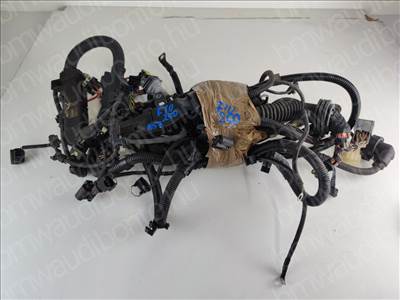 BMW 5 (F10)  525 d Motor kábelköteg (12518513255)