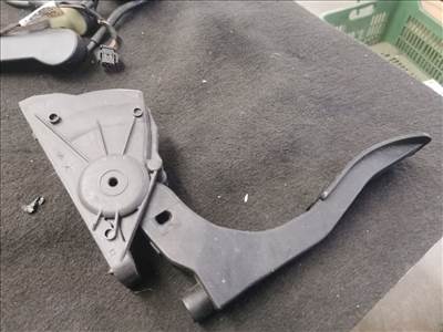 Audi A6 (C6 - 4F) 2.7 TDI AUDI A6 (4F2, C6) Gázpedál (Elektromos)  4f1721523b