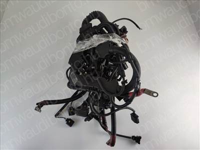 BMW 5 (F10) 530 d N57 Motor kábelköteg (12518513252, 12518507366)