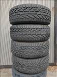  225/60 17 Taurus Winter SUV