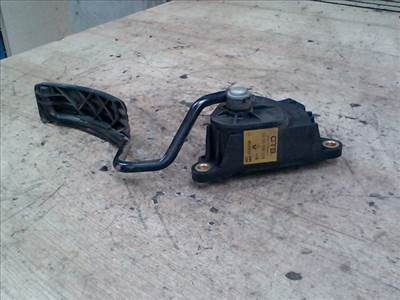 RENAULT MODUS 04.09.01-08.03.31 Elektromos gázpedál