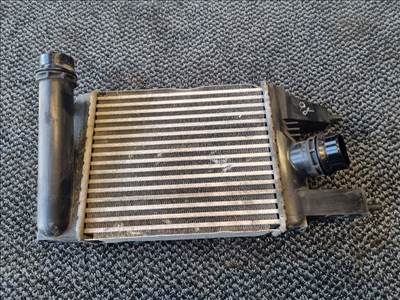 NISSAN PULSAR, NISSAN JUKE F15 Intercooler Hűtő