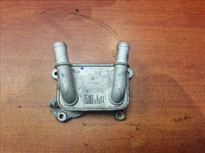 NISSAN PULSAR, NISSAN JUKE (F15), NISSAN QASHQAI J11, RENAULT CLIO IV, RENAULT MEGANE III Olajhűtő