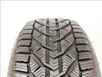 Taurus Winter 215/55 R17 