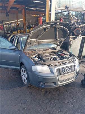 Audi A3 (8P) (8P) bontott alkatrészei