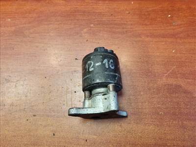 OPEL VECTRA B, ASTRA G EGR / AGR Szelep (motorkód: X16XEL, X14XE)