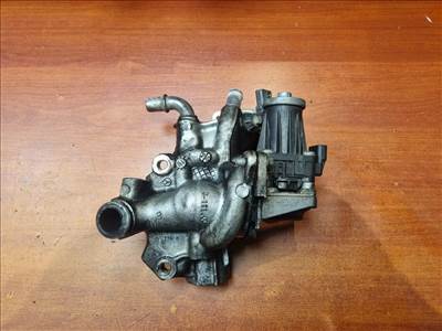 NISSAN QASHQAI (J11) EGR / AGR Szelep (Motorkód: K9K646)