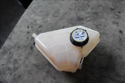 Ford Fiesta Mk6 1.25 kiegyenlítő tartály 8V21-8K218B