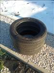  205/5516" Kumho Ecowing nyári gumi eladó 2db. Dot 5022!